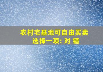 农村宅基地可自由买卖 选择一项: 对 错